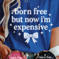 Born, Free, Now Expensive Graphic Tee