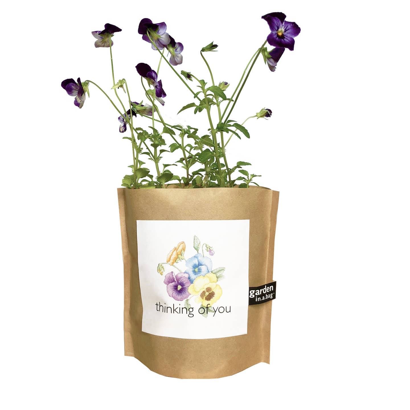 Garden in A Bag Thinking of You | Best Seller | Care Gift