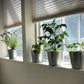 Garden in A Pail | Herbs | Kitchen | Spring Gift