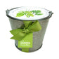 Garden in A Pail | Herbs | Kitchen | Spring Gift