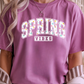 Spring Vibes Graphic Tee